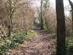 The path to Sally's Glade through Crews Hole Woodland
